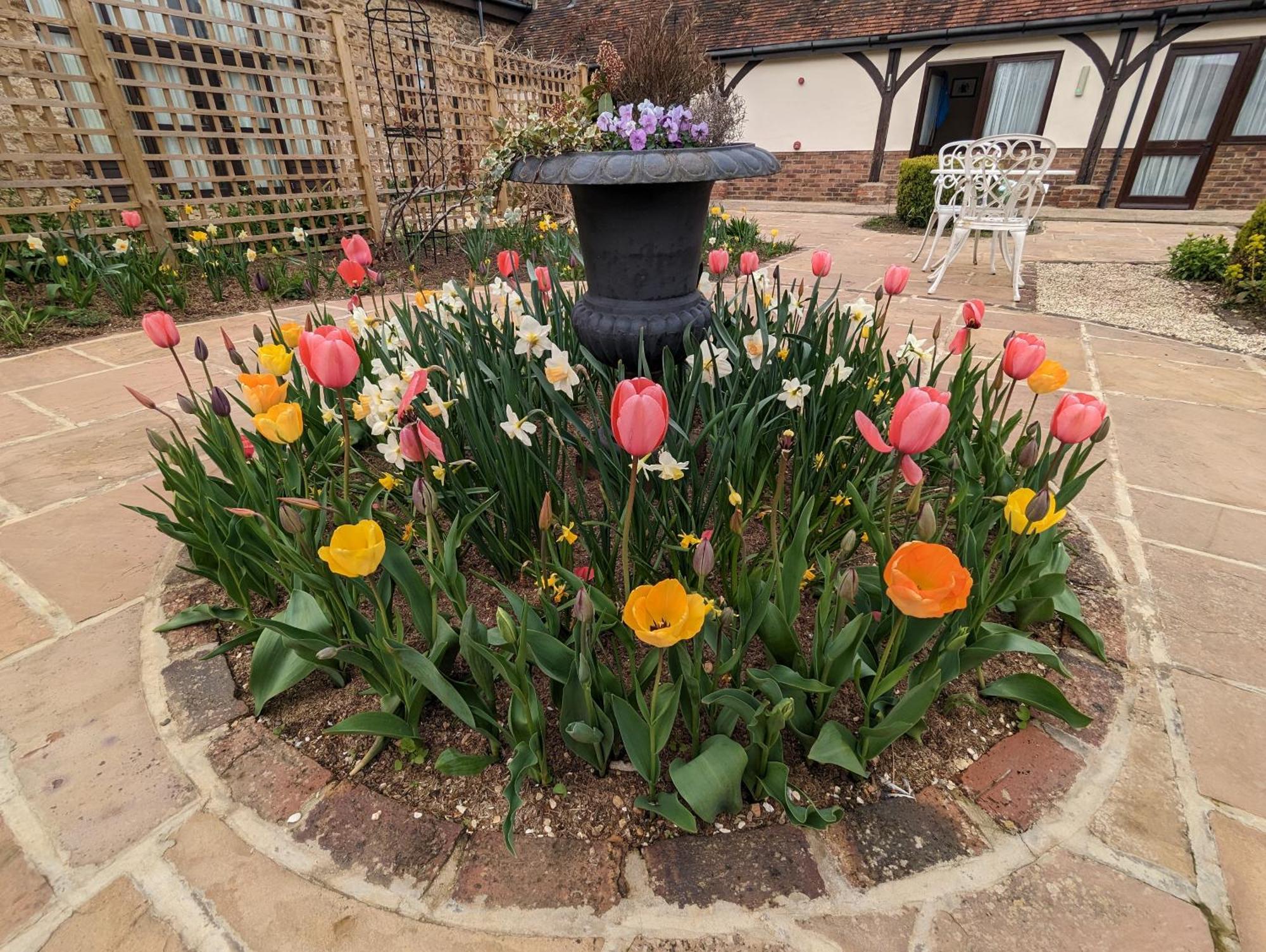 Kingfisher Barn B&B Abingdon-on-Thames Eksteriør billede